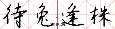 待兔逢株怎么写好看