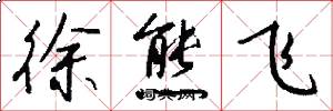 徐熊飞怎么写好看