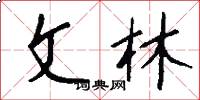 文林怎么写好看