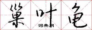 巢叶龟怎么写好看