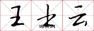 王士云怎么写好看