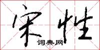宋性怎么写好看
