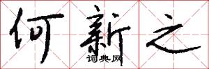 何新之怎么写好看