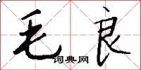 毛良怎么写好看