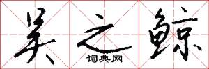 吴之鲸怎么写好看