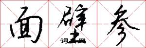 面壁参怎么写好看