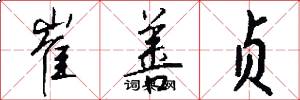 崔善贞怎么写好看
