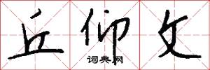 丘仰文怎么写好看