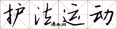 护法运动怎么写好看