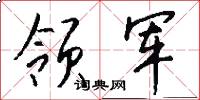 领军怎么写好看