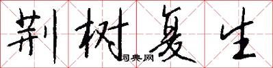 荆树复生怎么写好看