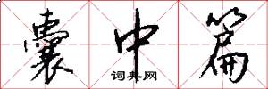 囊中篇怎么写好看