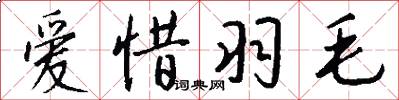 爱惜羽毛怎么写好看