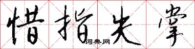 惜指失掌怎么写好看