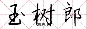 玉树郎怎么写好看