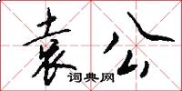 袁公怎么写好看