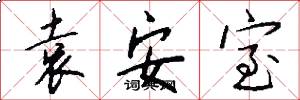 袁安室怎么写好看