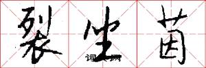 裂坐茵怎么写好看