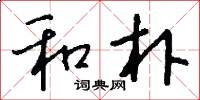 和朴怎么写好看