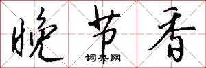 晚节香怎么写好看