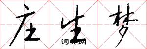 庄生梦怎么写好看