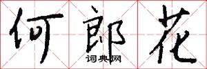 何郎花怎么写好看