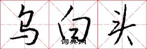 乌白头怎么写好看