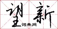 望新怎么写好看