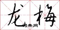 龙梅怎么写好看