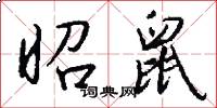昭鼠怎么写好看