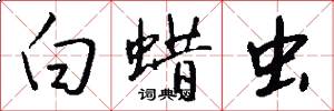 白蜡虫怎么写好看