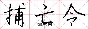 捕亡令怎么写好看
