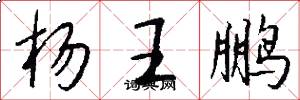 杨王鹏怎么写好看