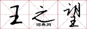 王之望怎么写好看