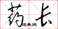 药长怎么写好看