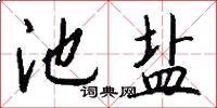 池盐怎么写好看