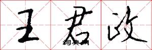王君政怎么写好看
