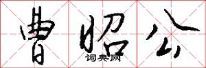 曹昭公怎么写好看