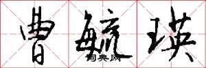 曹毓瑛怎么写好看