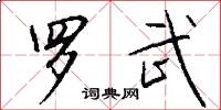 罗武怎么写好看