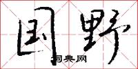 国野怎么写好看
