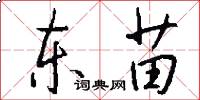 东苗怎么写好看
