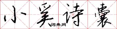 小奚诗囊怎么写好看