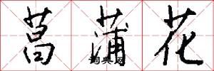 菖蒲花怎么写好看