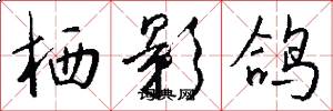 栖影鸽怎么写好看