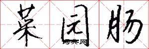 菜园肠怎么写好看
