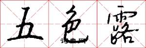 五色露怎么写好看