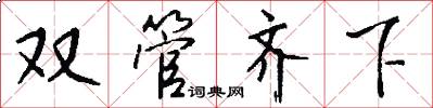 双管齐下怎么写好看