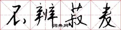 不辨菽麦怎么写好看