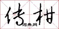 传柑怎么写好看